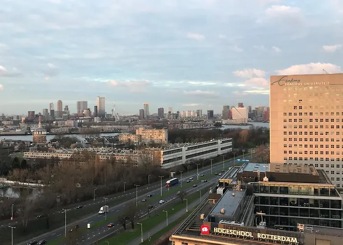 Novotel Brainpark Hotell 4*