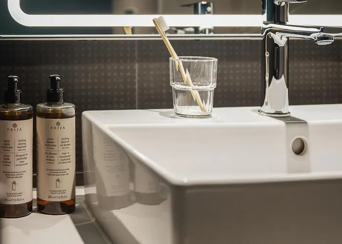 Novotel Brainpark 4*