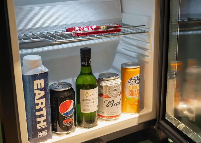 鹿特丹布莱恩诺富特酒店 4* 鹿特丹